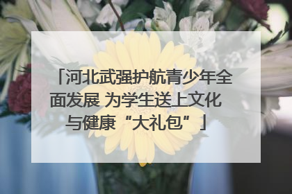 河北武强护航青少年全面发展 为学生送上文化与健康“大礼包”