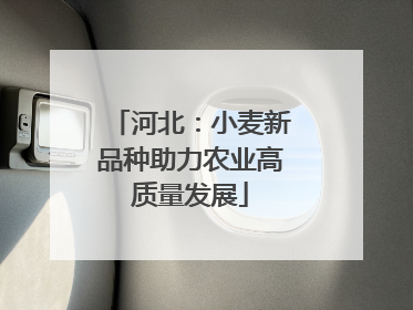 河北：小麦新品种助力农业高质量发展