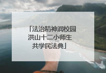 法治精神润校园 洪山十二小师生共学民法典