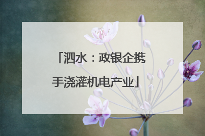 泗水：政银企携手浇灌机电产业