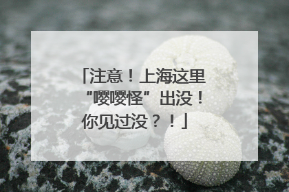注意！上海这里“嘤嘤怪”出没！你见过没？！