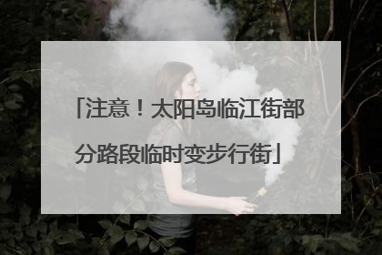 注意！太阳岛临江街部分路段临时变步行街