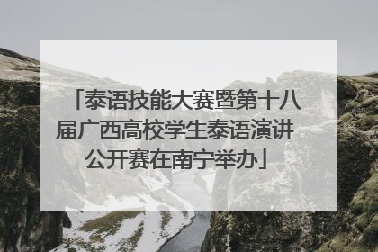 泰语技能大赛暨第十八届广西高校学生泰语演讲公开赛在南宁举办