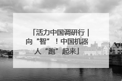 活力中国调研行｜向“智”！中国机器人“跑”起来