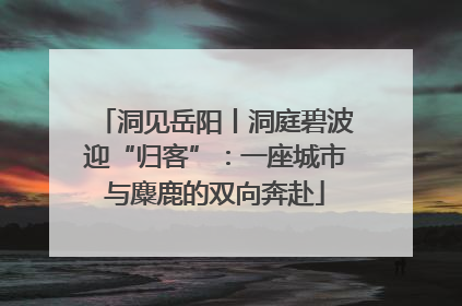 洞见岳阳丨洞庭碧波迎“归客”：一座城市与麋鹿的双向奔赴