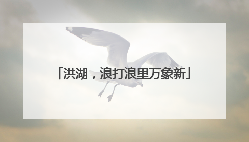洪湖，浪打浪里万象新