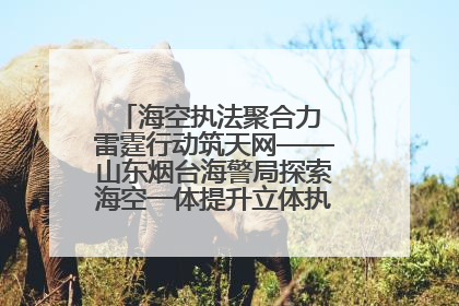 海空执法聚合力 雷霆行动筑天网——山东烟台海警局探索海空一体提升立体执法效能纪实