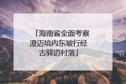 海南省全面考察澄迈境内东坡行经古驿道村落