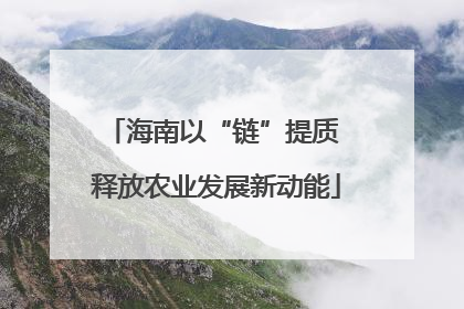 海南以“链”提质 释放农业发展新动能