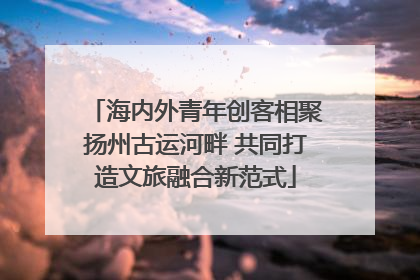 海内外青年创客相聚扬州古运河畔 共同打造文旅融合新范式