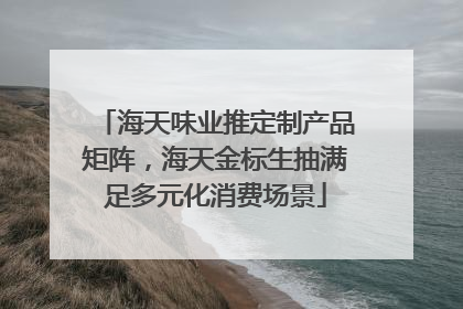 海天味业推定制产品矩阵，海天金标生抽满足多元化消费场景
