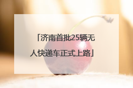 济南首批25辆无人快递车正式上路