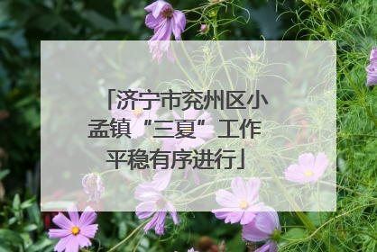 济宁市兖州区小孟镇“三夏”工作平稳有序进行