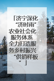 济宁深化“济时雨”农业社会化服务体系 全力打造服务乡村振兴“供销样板”