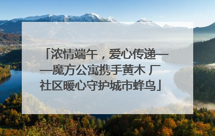 浓情端午，爱心传递——魔方公寓携手黄木 厂社区暖心守护城市蜂鸟
