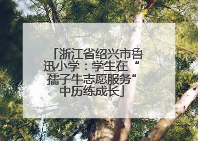 浙江省绍兴市鲁迅小学：学生在“孺子牛志愿服务”中历练成长