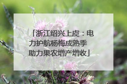浙江绍兴上虞：电力护航杨梅成熟季 助力果农增产增收