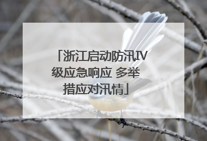 浙江启动防汛Ⅳ级应急响应 多举措应对汛情