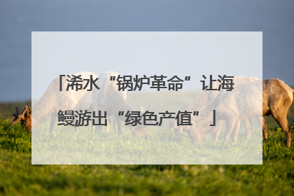 浠水“锅炉革命”让海鳗游出“绿色产值”
