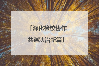 深化检校协作 共谋法治新篇