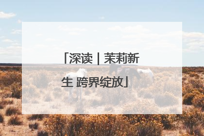 深读｜茉莉新生 跨界绽放