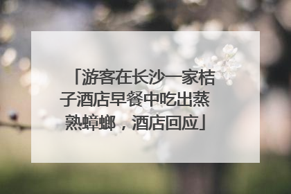 游客在长沙一家桔子酒店早餐中吃出蒸熟蟑螂，酒店回应