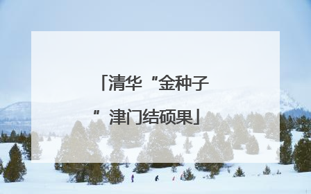 清华“金种子”津门结硕果