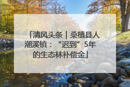 清风头条｜桑植县人潮溪镇：“迟到”5年的生态林补偿金