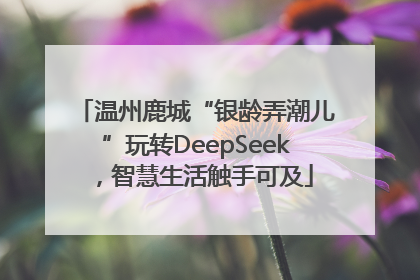 温州鹿城“银龄弄潮儿”玩转DeepSeek，智慧生活触手可及
