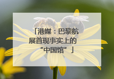 港媒：巴黎航展首现事实上的“中国馆”