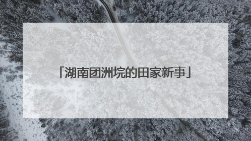 湖南团洲垸的田家新事