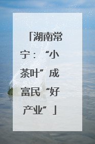 湖南常宁：“小茶叶”成富民“好产业”