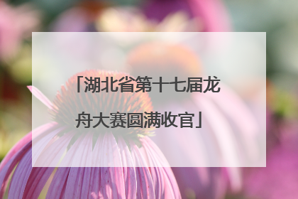 湖北省第十七届龙舟大赛圆满收官