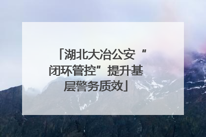 湖北大冶公安“闭环管控”提升基层警务质效