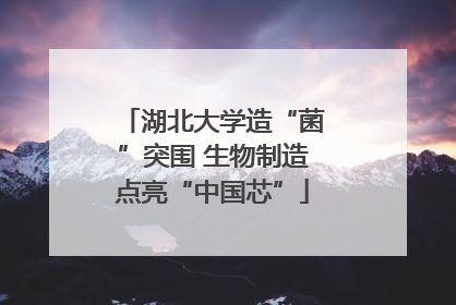 湖北大学造“菌”突围 生物制造点亮“中国芯”
