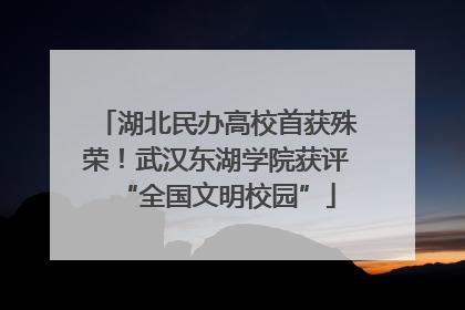 湖北民办高校首获殊荣！武汉东湖学院获评“全国文明校园”