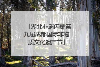 湖北非遗闪耀第九届成都国际非物质文化遗产节