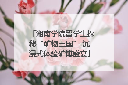湘南学院留学生探秘“矿物王国” 沉浸式体验矿博盛宴