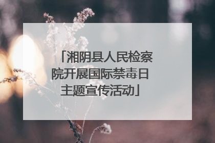 湘阴县人民检察院开展国际禁毒日主题宣传活动