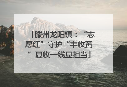 滕州龙阳镇：“志愿红”守护“丰收黄”夏收一线显担当
