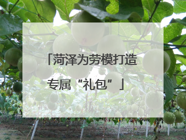 菏泽为劳模打造专属“礼包”