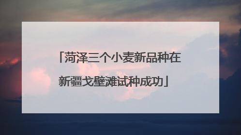 菏泽三个小麦新品种在新疆戈壁滩试种成功
