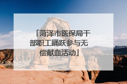 菏泽市医保局干部职工踊跃参与无偿献血活动