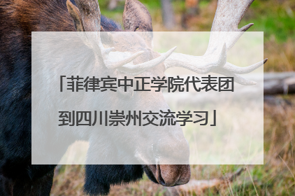 菲律宾中正学院代表团到四川崇州交流学习