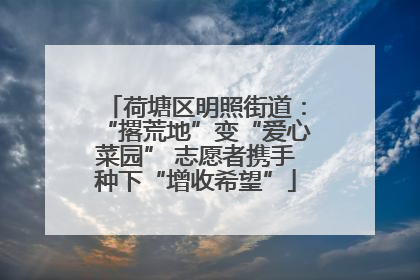 荷塘区明照街道：“撂荒地”变“爱心菜园” 志愿者携手种下“增收希望”