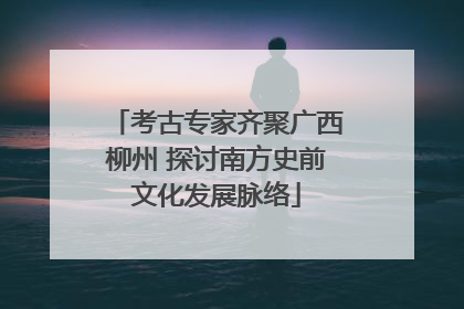 考古专家齐聚广西柳州 探讨南方史前文化发展脉络