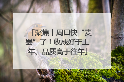 聚焦丨周口快“麦罢”了！收成好于上年、品质高于往年