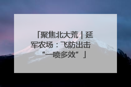 聚焦北大荒｜延军农场：飞防出击 “一喷多效”