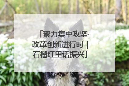聚力集中攻坚·改革创新进行时｜石榴红里话振兴
