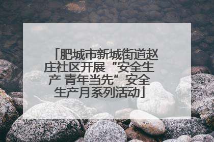 肥城市新城街道赵庄社区开展“安全生产 青年当先”安全生产月系列活动